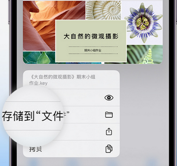 可克达拉apple维修中心分享iPhone文件应用中存储和找到下载文件