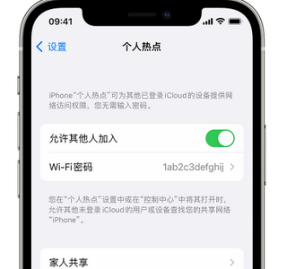 可克达拉apple服务站点分享iPhone上个人热点丢失了怎么办 