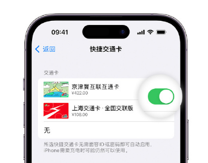 可克达拉apple维修点分享iPhone上更换Apple Pay快捷交通卡手绘卡面 