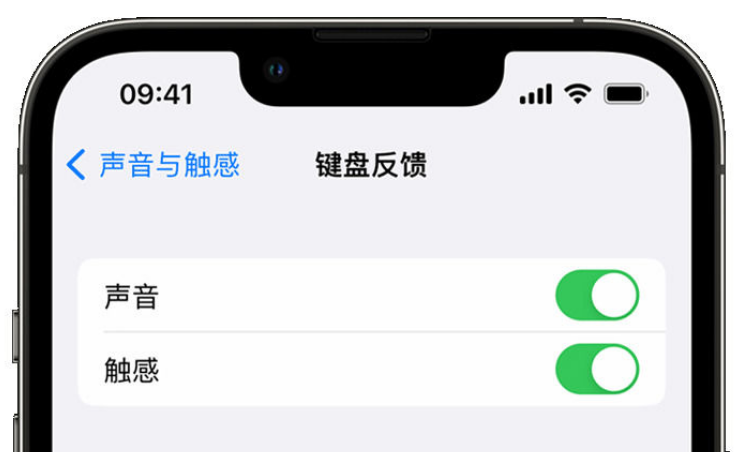 可克达拉苹果手机维修分享iPhone 14触感键盘使用方法 