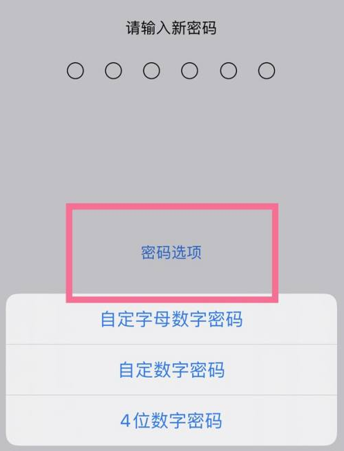 可克达拉苹果14维修分享iPhone 14plus设置密码的方法 