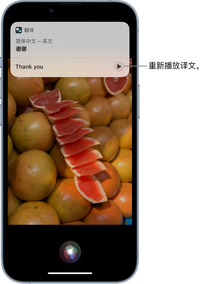 可克达拉苹果14维修分享 iPhone 14 机型中使用 Siri：了解 Siri 能帮你做什么 