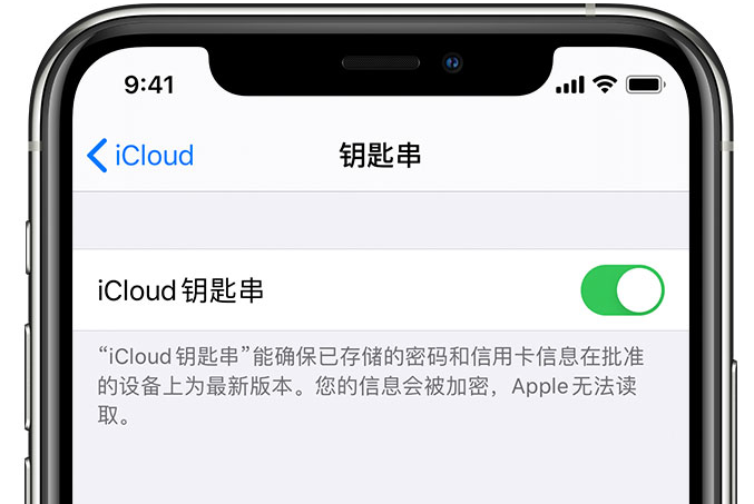 可克达拉苹果手机维修分享在 iPhone 上开启 iCloud 钥匙串之后会储存哪些信息 